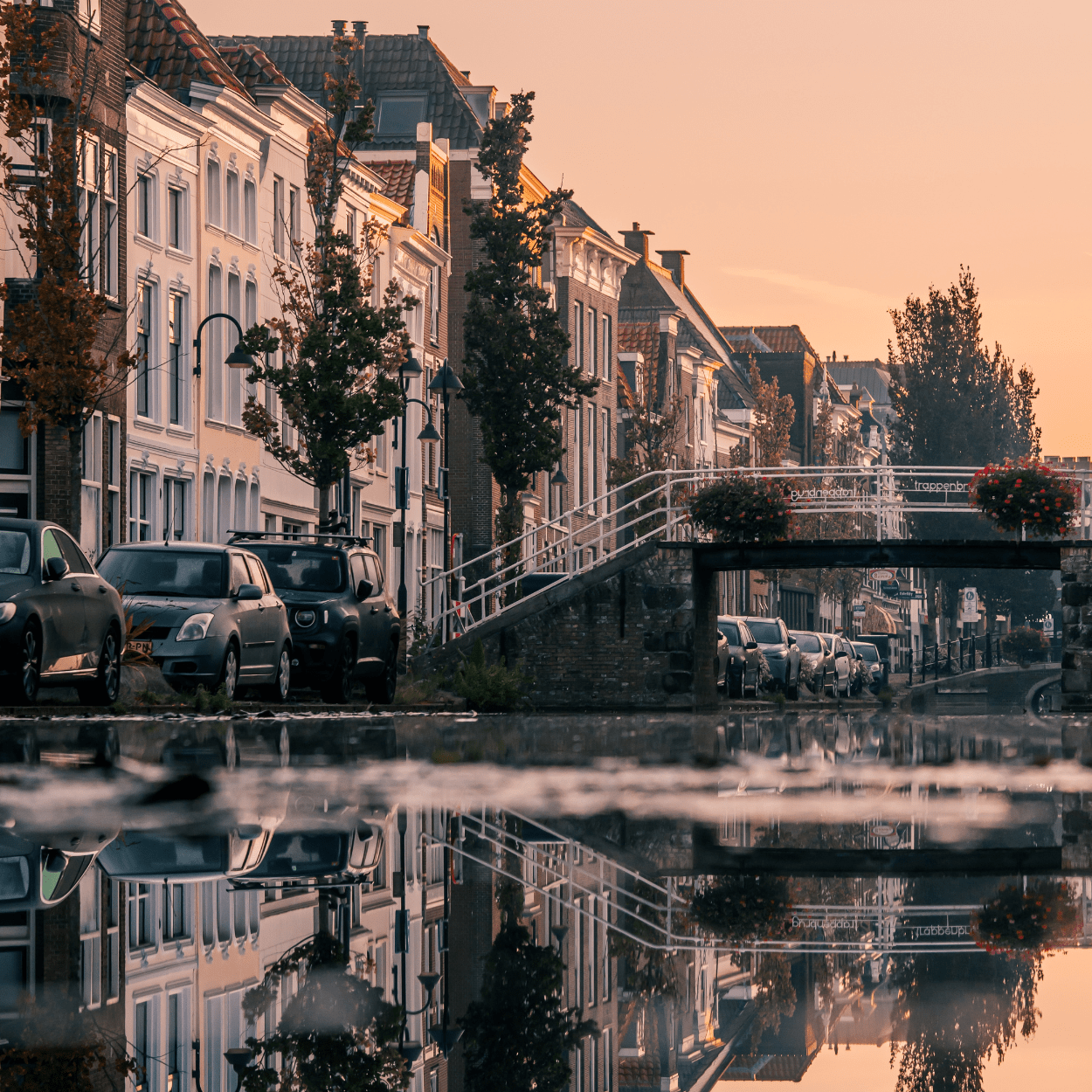 Half Day Private Tour from Amsterdam to Gouda Cheese, History & Heritage - Mister DMC