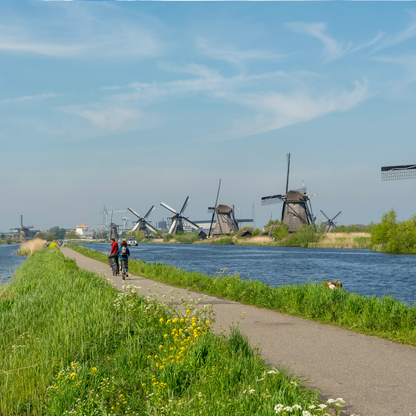 Private Windmills and Cheese Tour